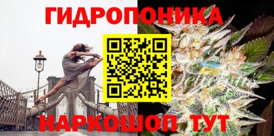 амф Малгобек