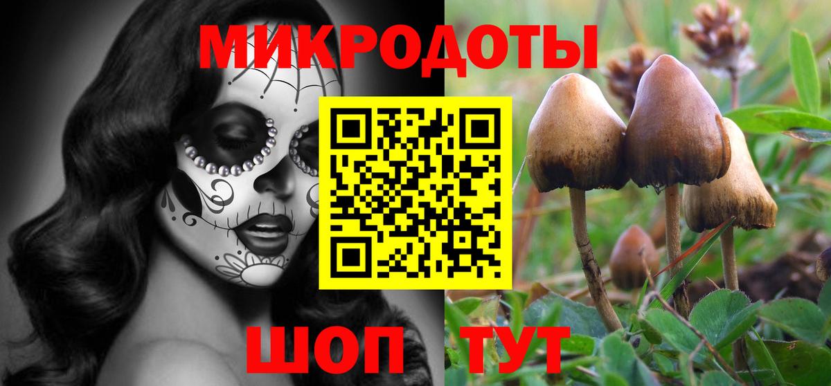 Шали  Галлюциногенные грибы Magic Shrooms  Вход с VPN 